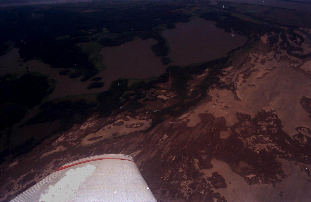 Foto de BARRANQUILLA, Colombia