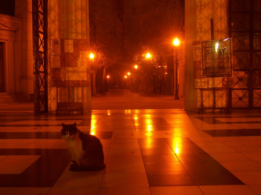 Foto de Buenos Aires, Argentina