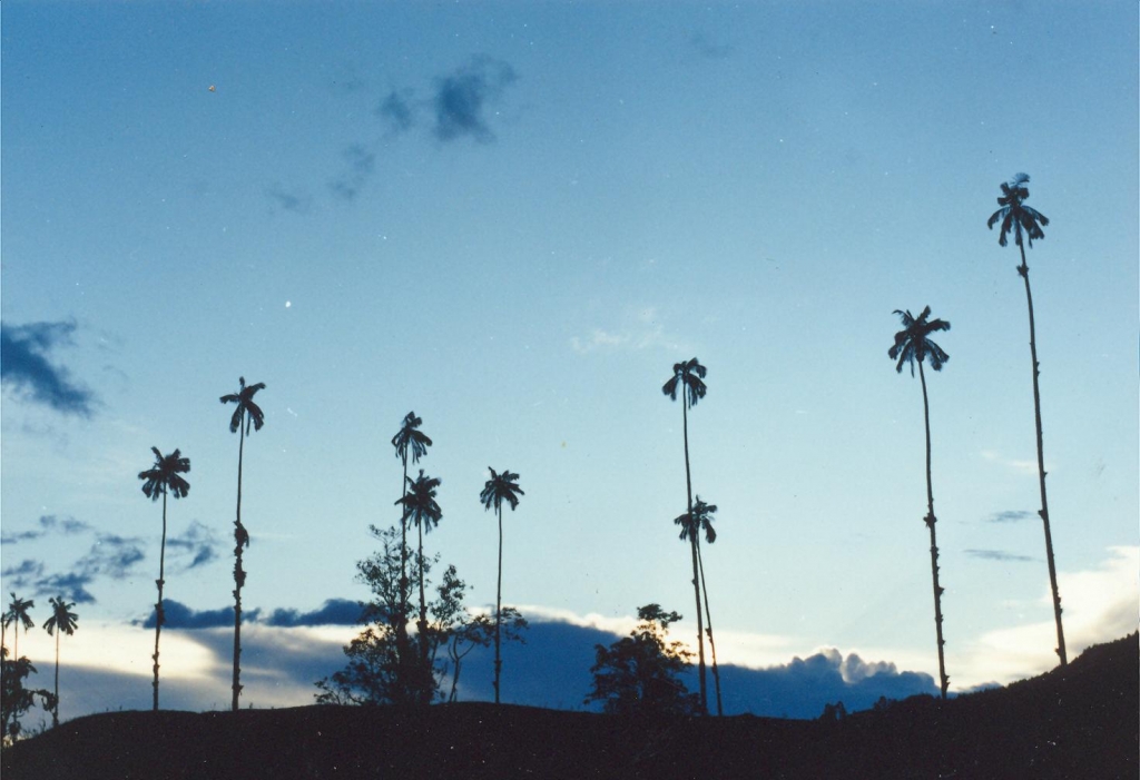 Foto de Quindio, Colombia