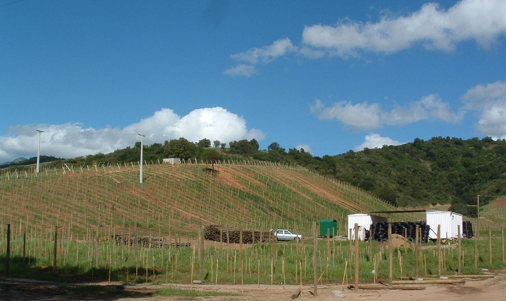 Foto de Casablanca, Chile