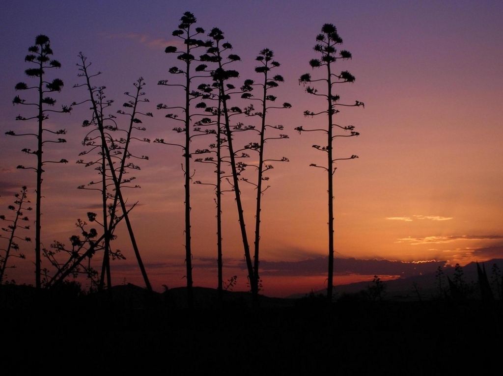 Foto de Agua Amarga (Almería), España