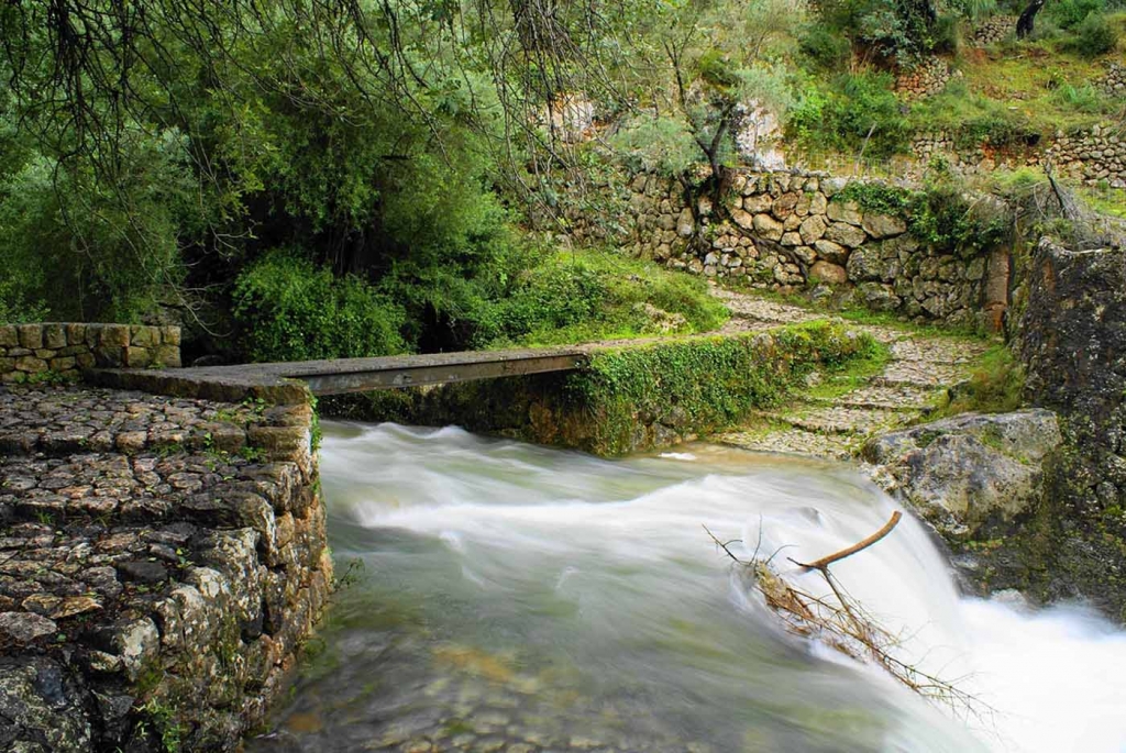 Foto de Biniaraix - Mallorca (Illes Balears), España