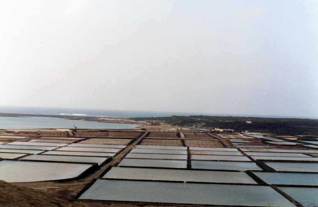 Foto de Lanzarote (Las Palmas), España