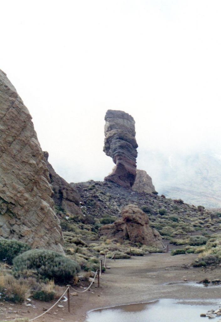 Foto de Tenerife (Santa Cruz de Tenerife), España