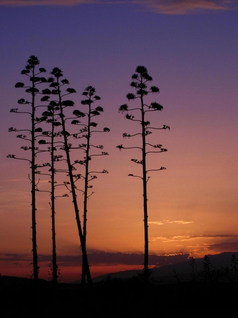 Foto de Agua Amarga (Almería), España