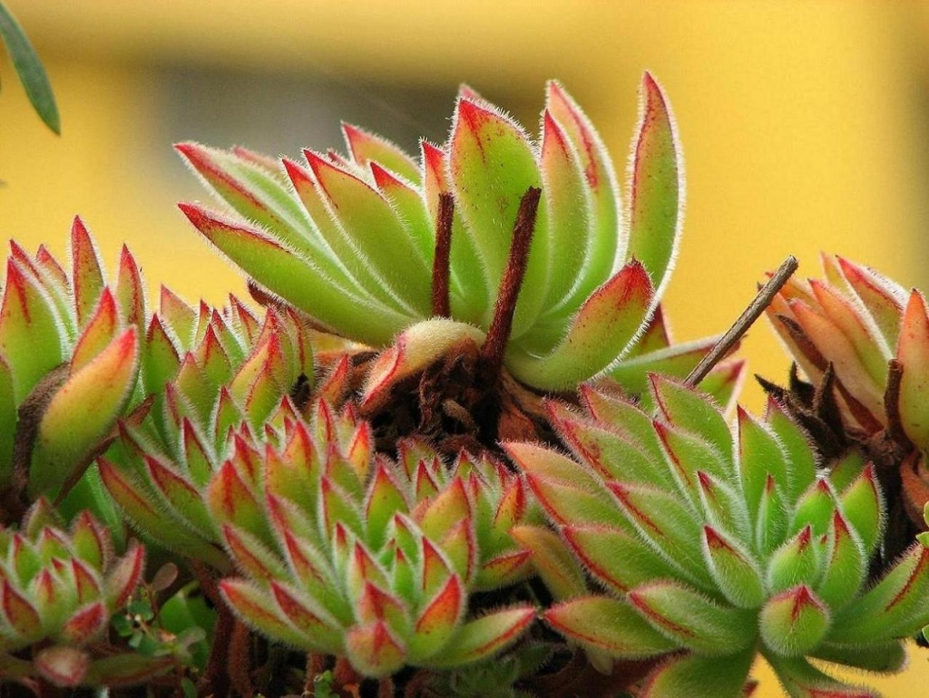 Foto de Santiago, Chile