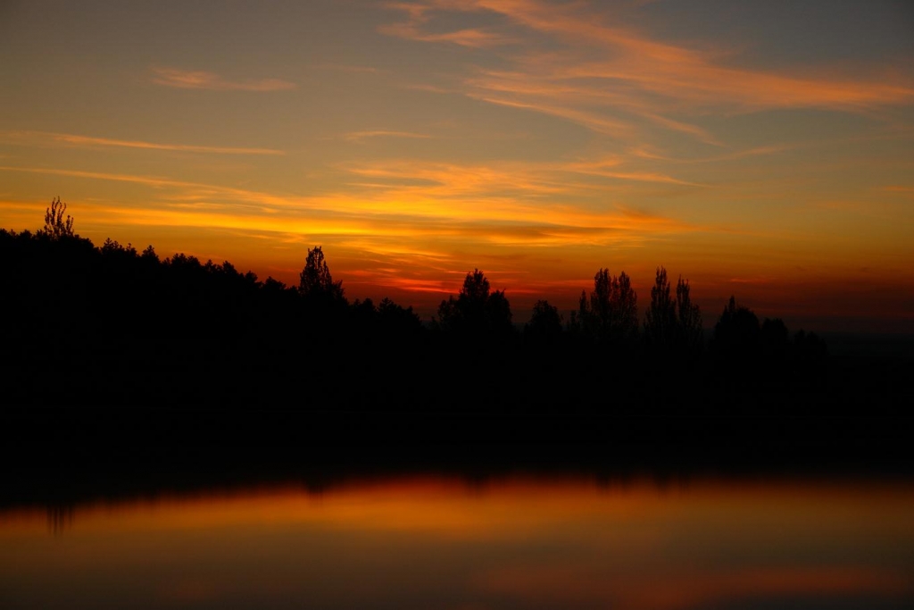 Foto de Madrid (Comunidad de Madrid), España
