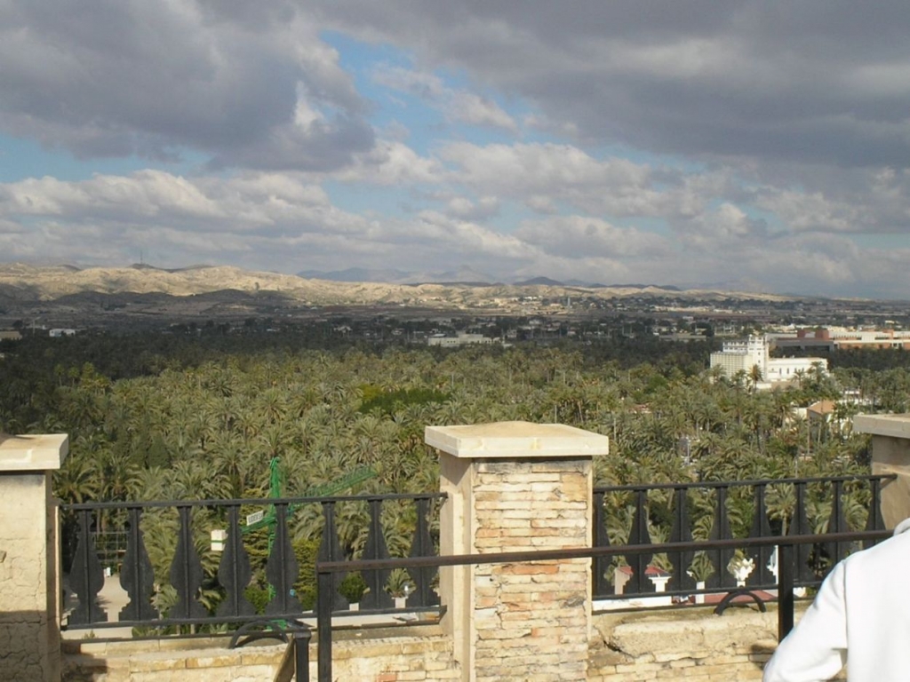 Foto de Elche (Alicante), España