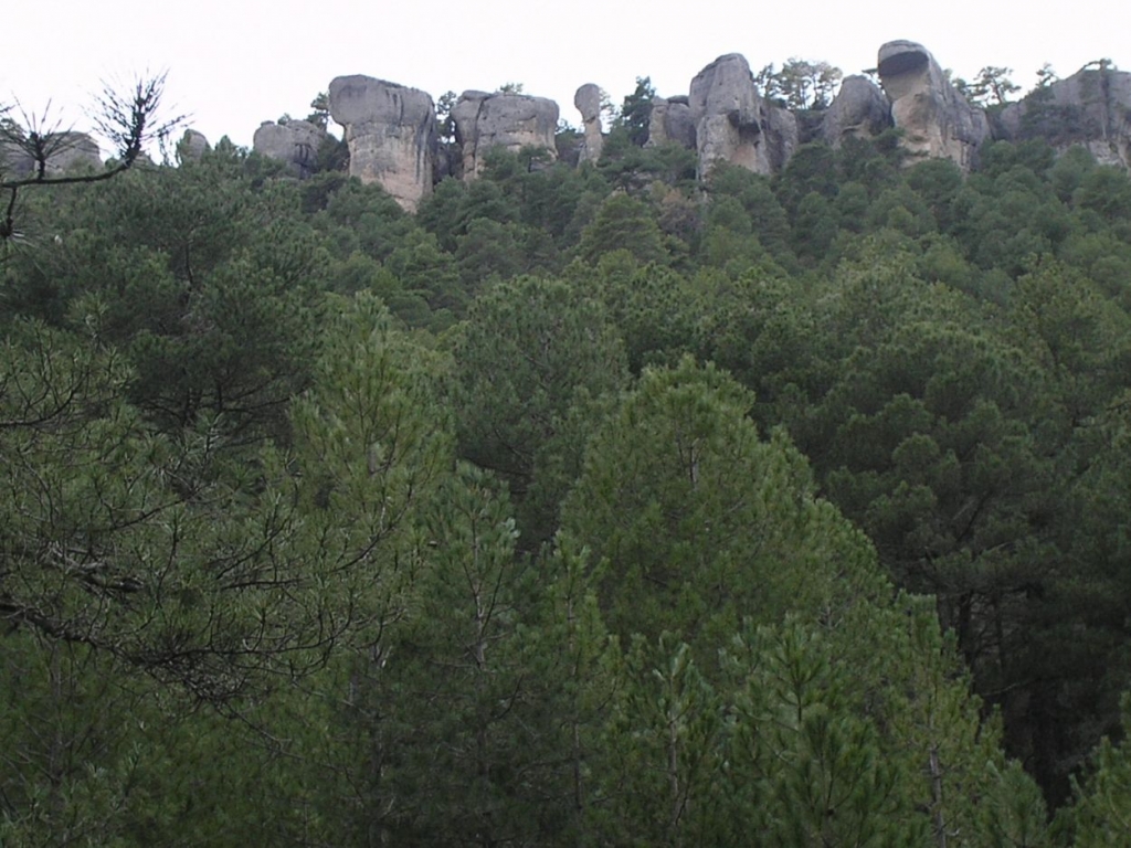 Foto de Villalba de la Sierra (Cuenca), España