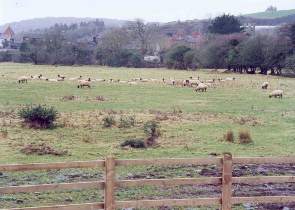 Foto de Skibbereen (Cork), Irlanda