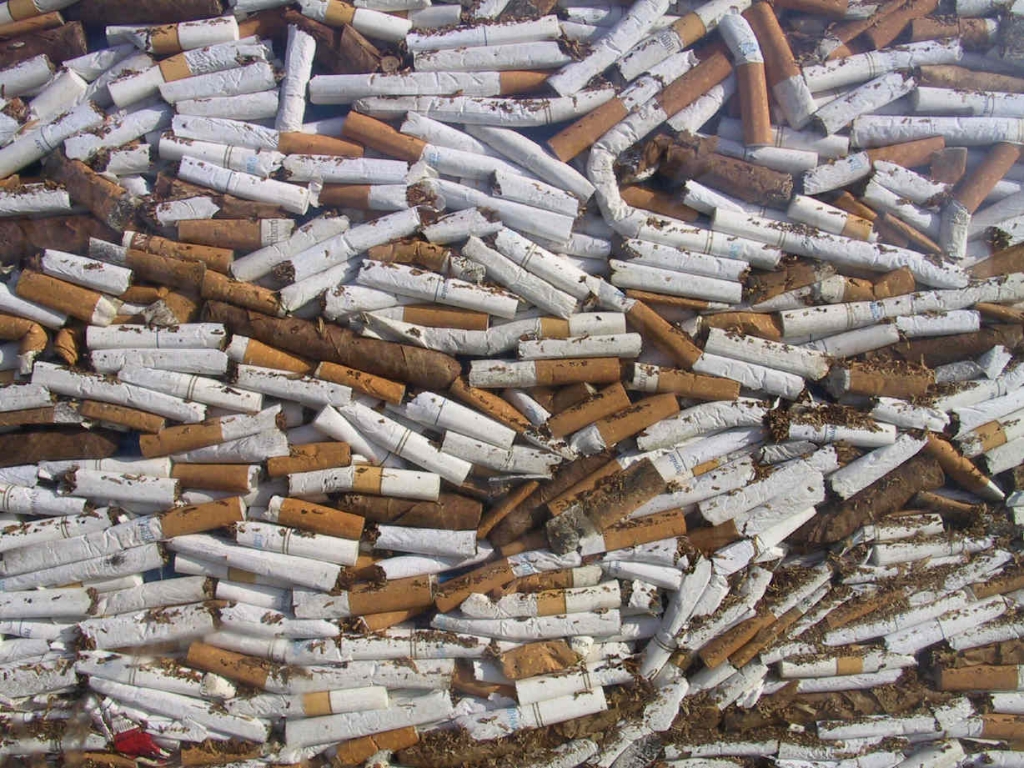 Foto de Barcelona (Cataluña), España