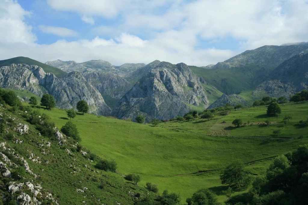 Foto de Concejo de Cabrales (Asturias), España