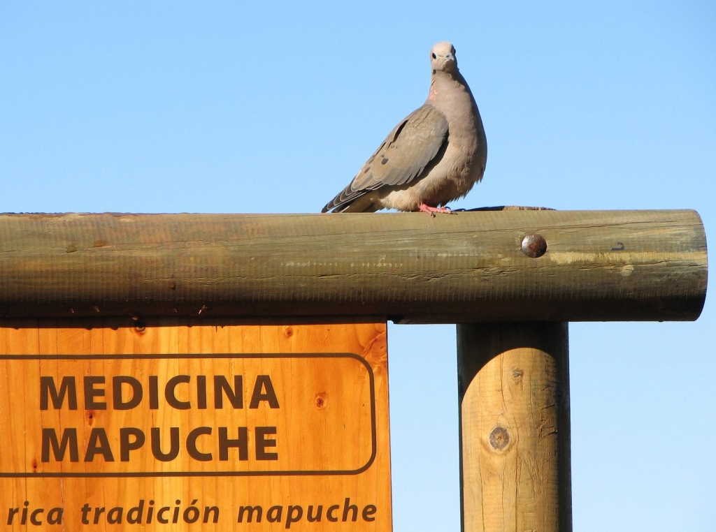 Foto de Santiago, Chile