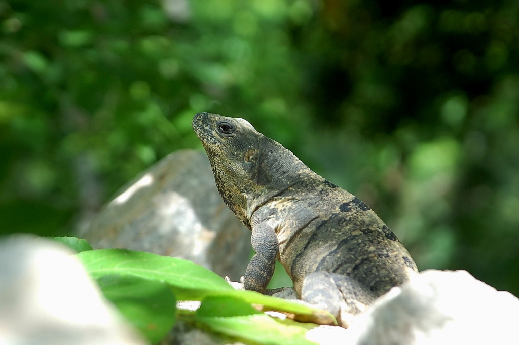 Foto de Ek Balam, México