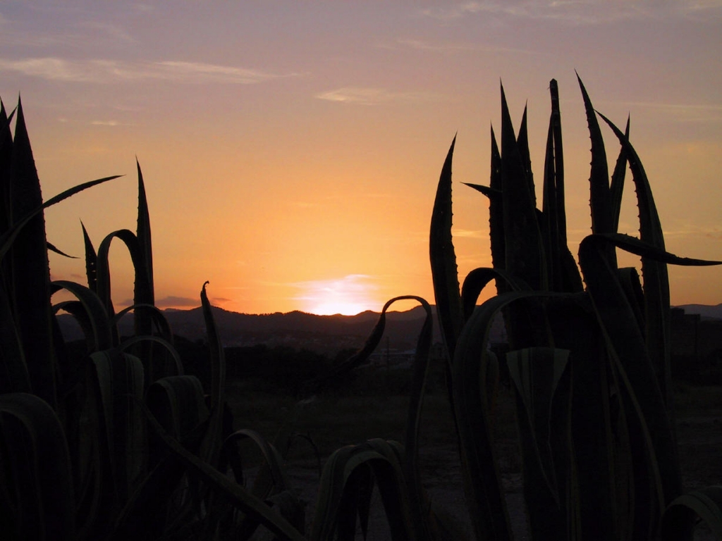 Foto de Sant Feliu de Llobregat (Barcelona), España