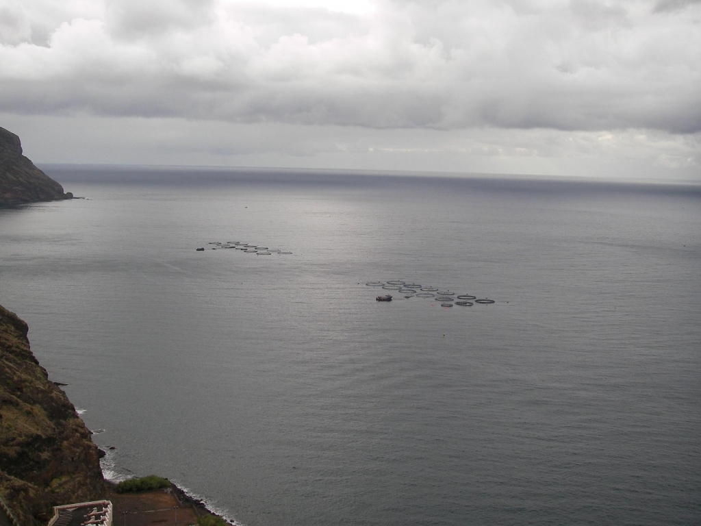 Foto de Santa Cruz de Tenerife (Canarias), España