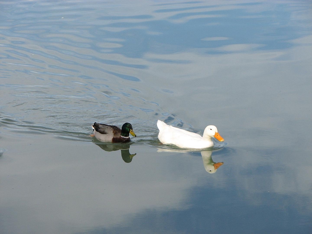 Foto de Santiago, Chile