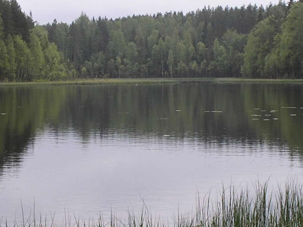 Foto de Leivonmaki, Finlandia