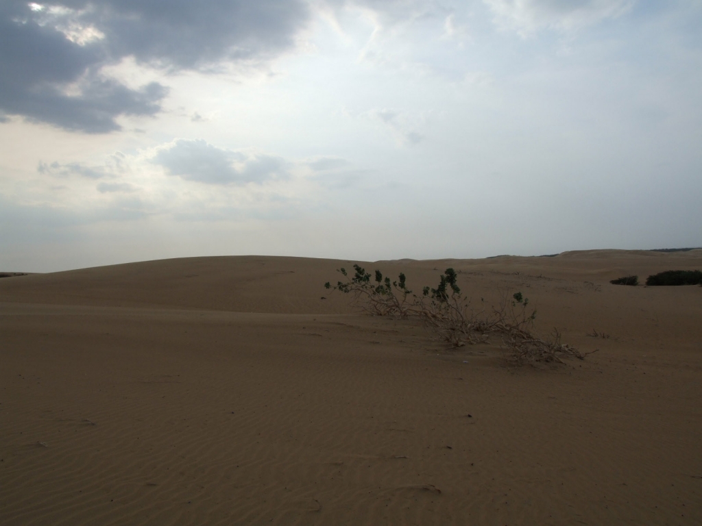 Foto de Coro, Venezuela