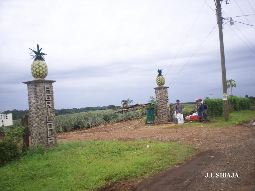 Foto de Los Chiles, Alajuela, Costa Rica