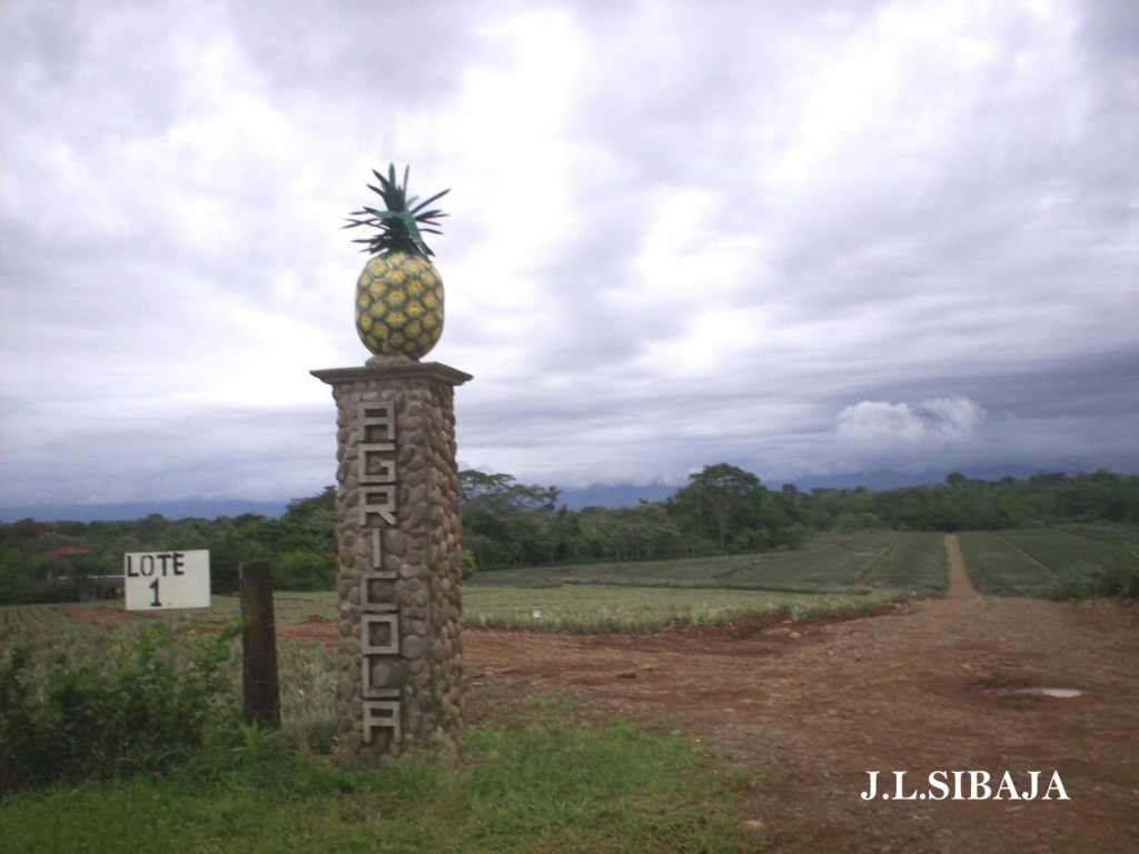 Foto de Los Chiles de Alajuela, Costa Rica