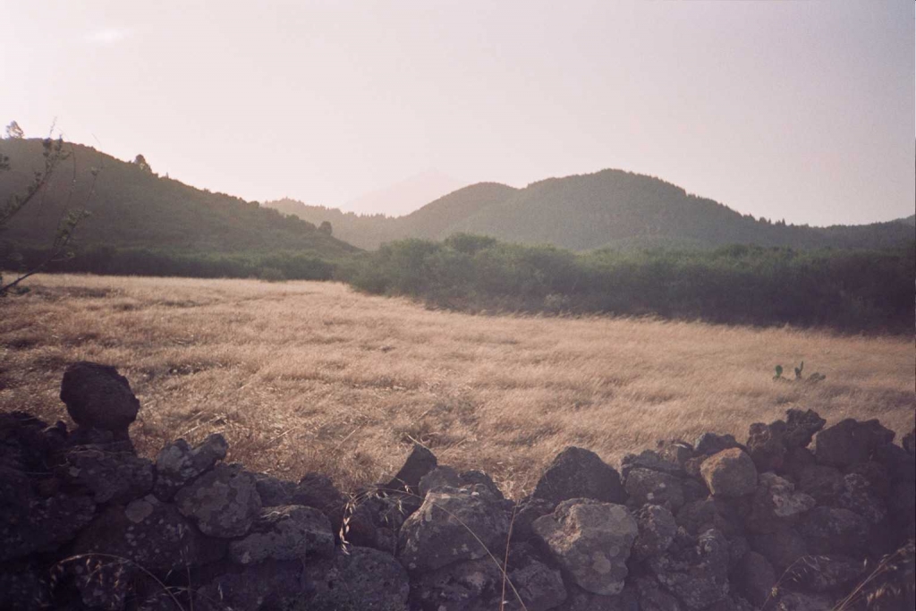 Foto de San José de los LLanos (Santa Cruz de Tenerife), España