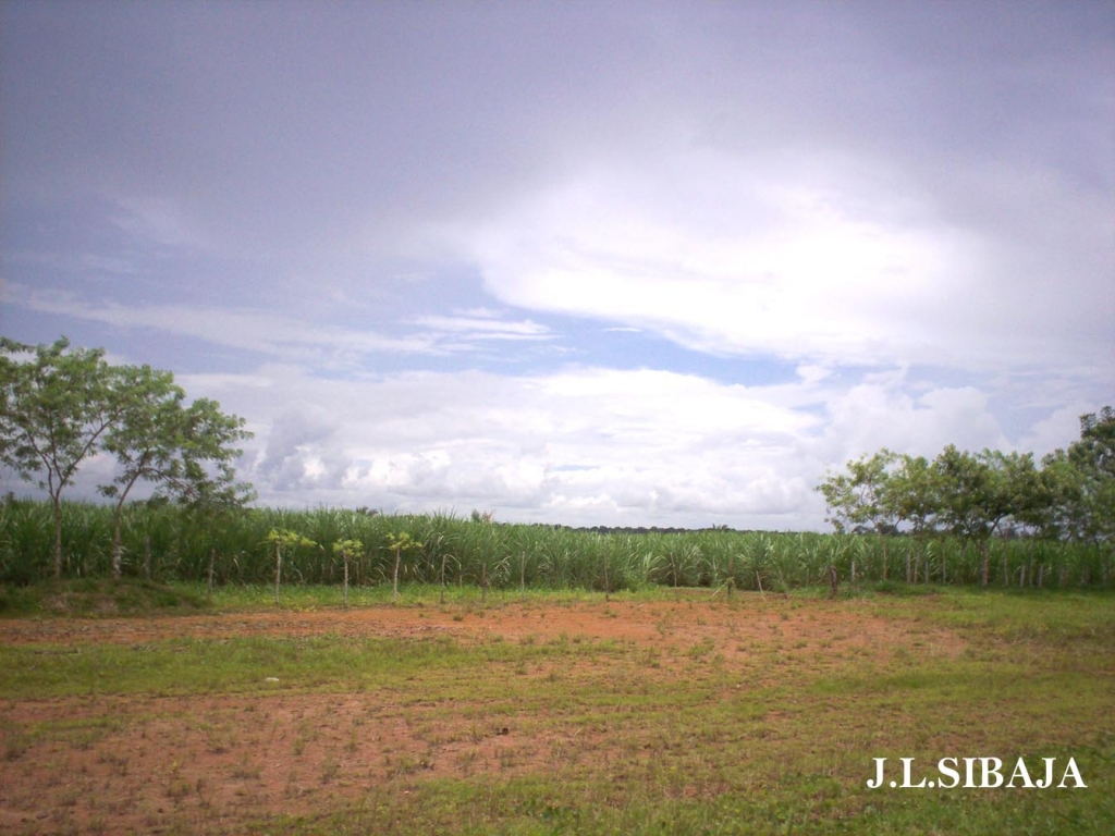 Foto de Los Chiles de Alajuela, Costa Rica