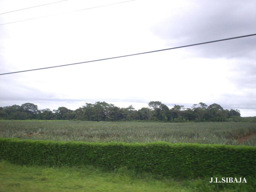 Foto de Los Chiles de Alajuela, Costa Rica