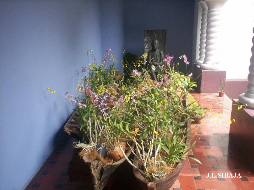 Foto de San José, Costa Rica