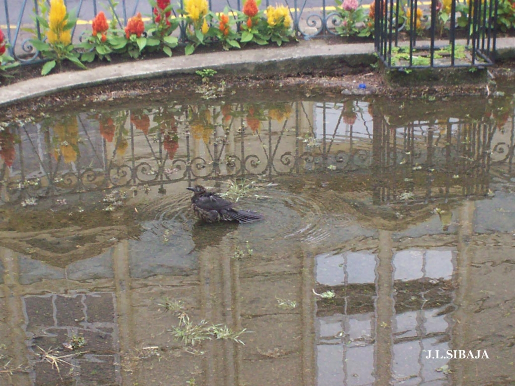 Foto de San José, Costa Rica