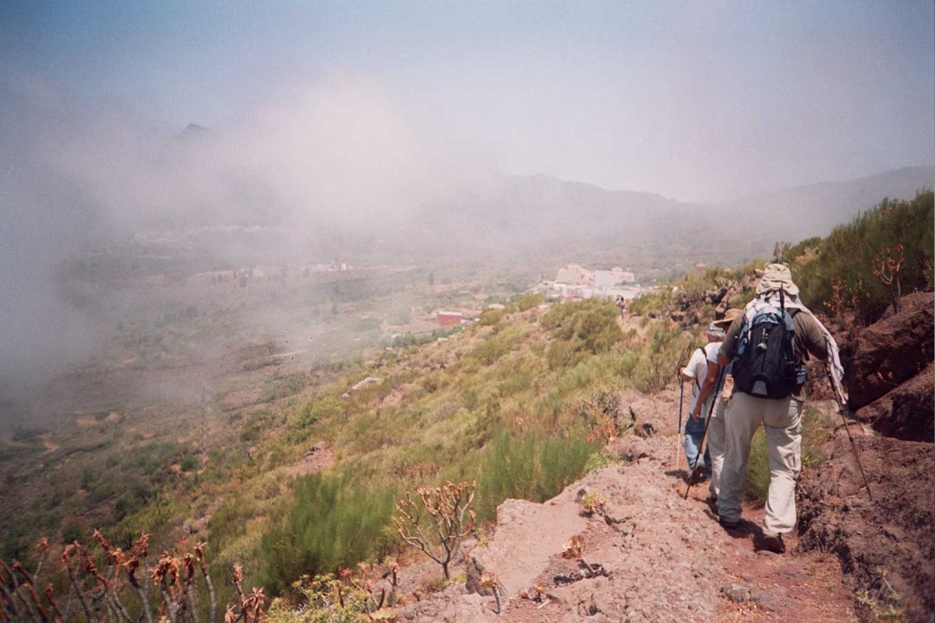 Foto de Arguayo (Santa Cruz de Tenerife), España