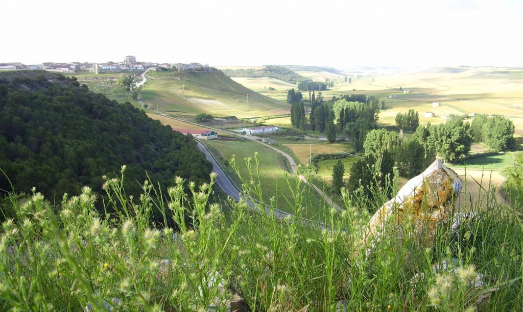 Foto de Peñaflor de Hornija (Valladolid), España