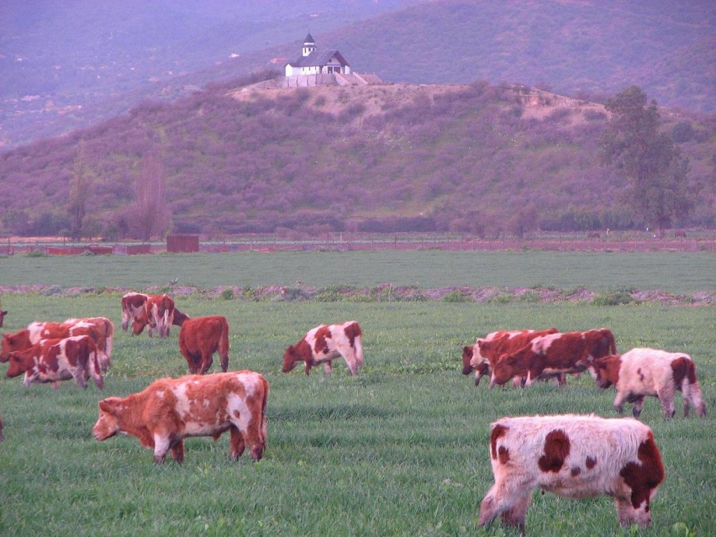 Foto de Curacaví, Chile