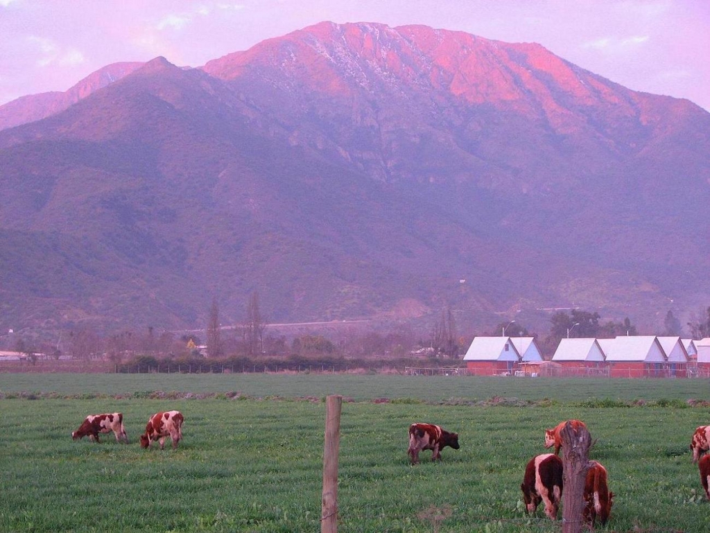 Foto de Curacaví, Chile