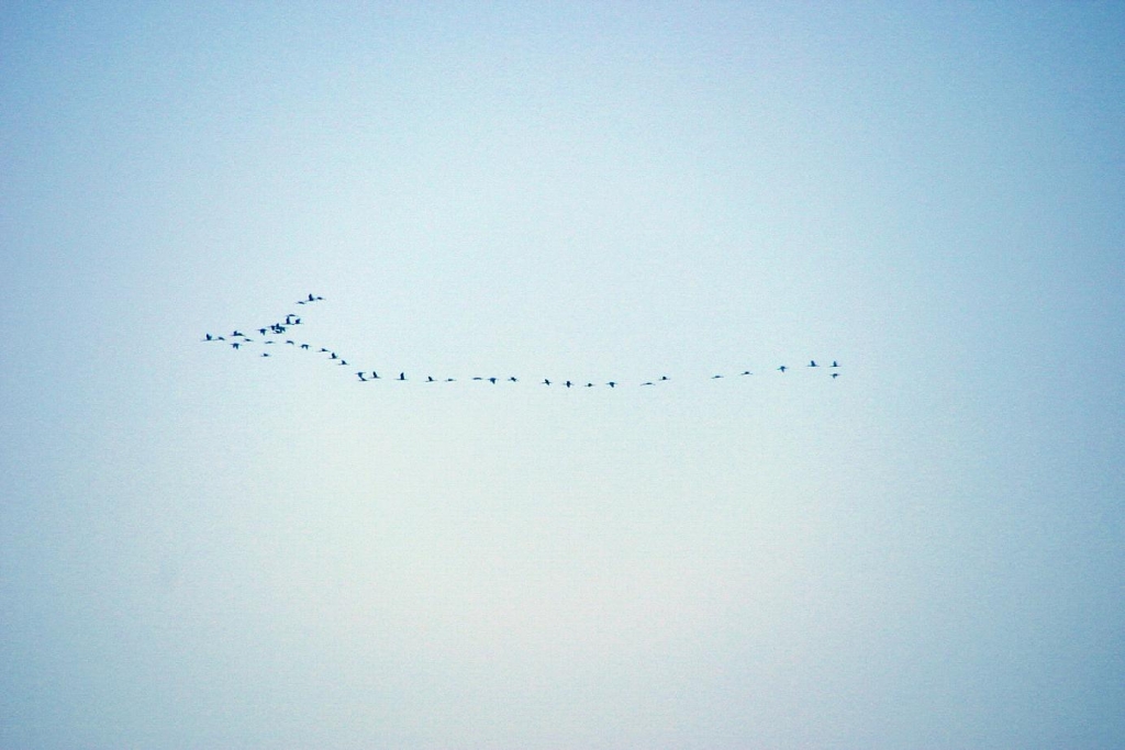 Foto de Aswan, Egipto