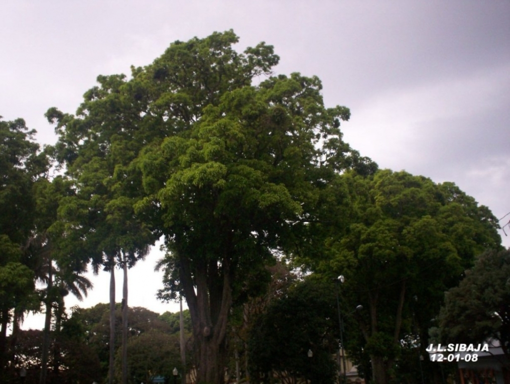 Foto de Alajuela, Costa Rica