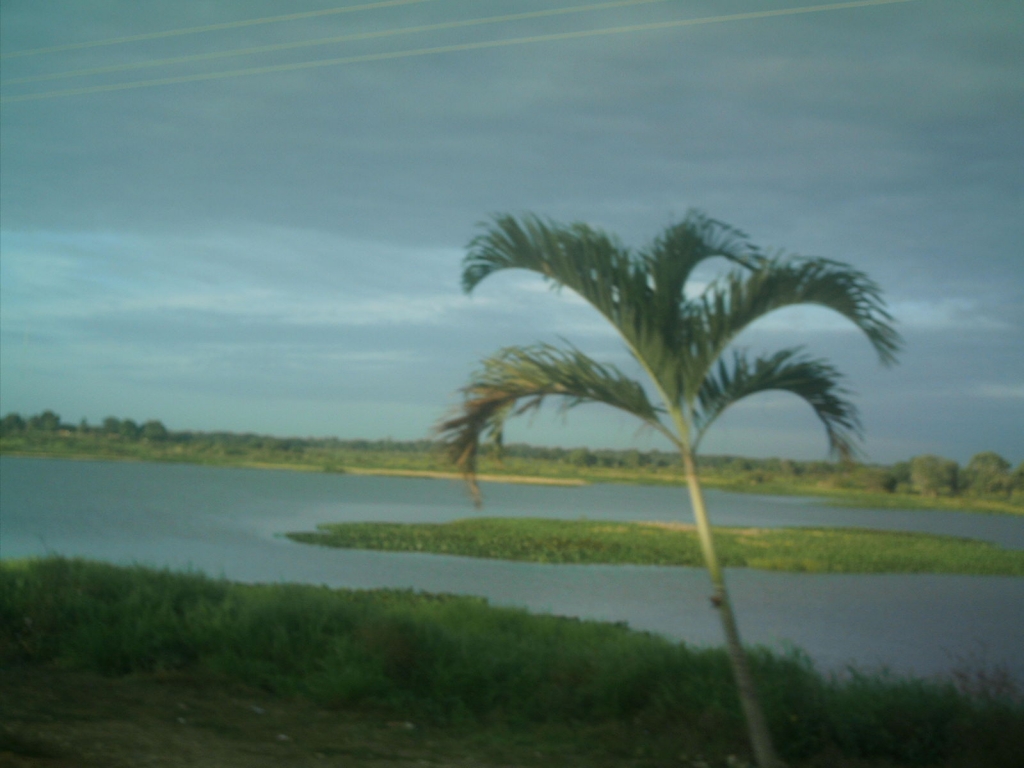 Foto de Guarico, Venezuela