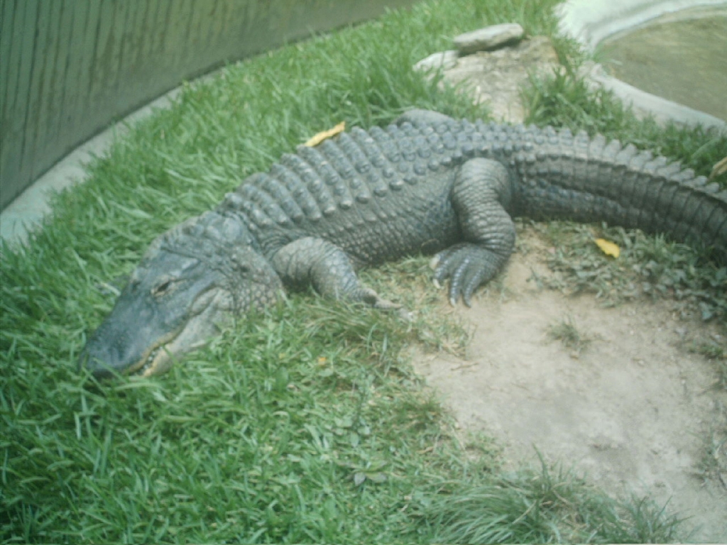 Foto de Caricuao, Venezuela