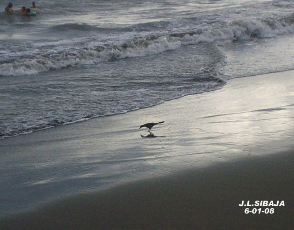 Foto de Puntarenas, Costa Rica