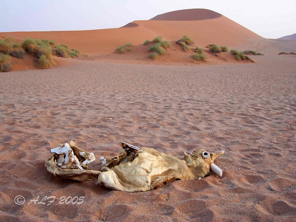 Foto de Sesriem, Namibia