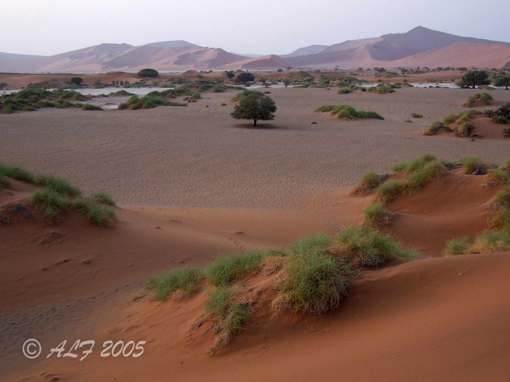 Foto de Sesriem, Namibia