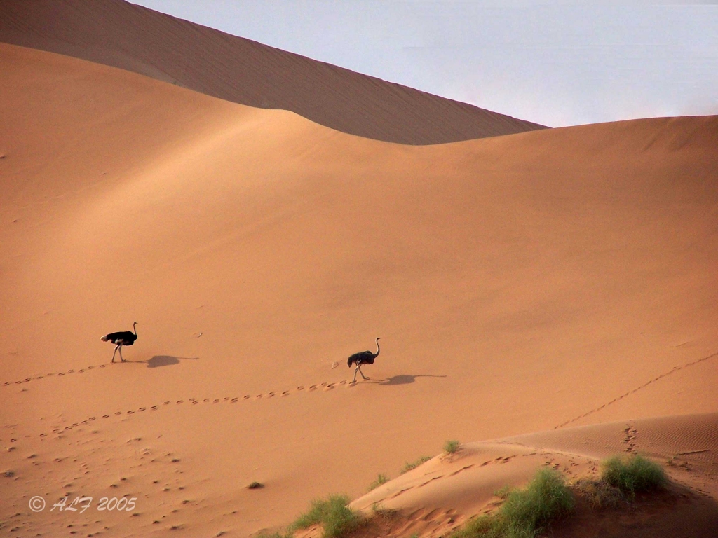 Foto de Sesriem, Namibia