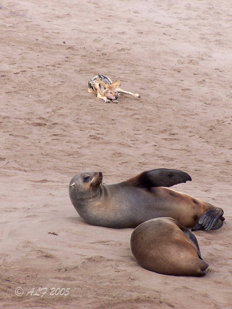 Foto de Hentiesbaai, Namibia