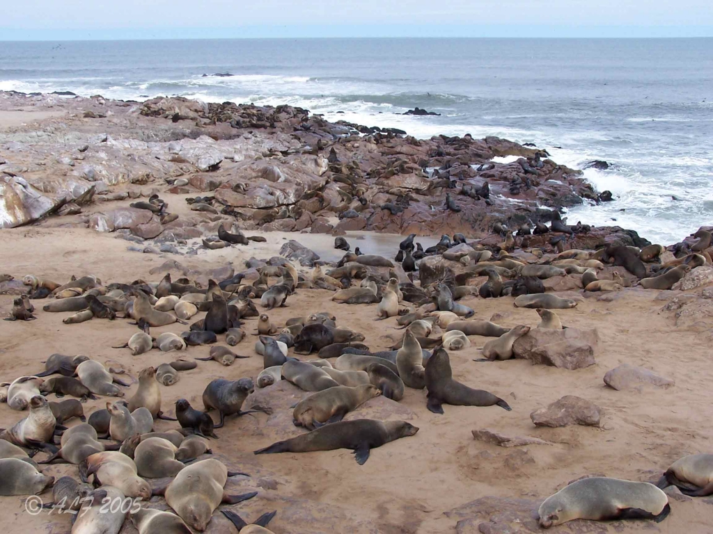 Foto de Hentiesbaai, Namibia