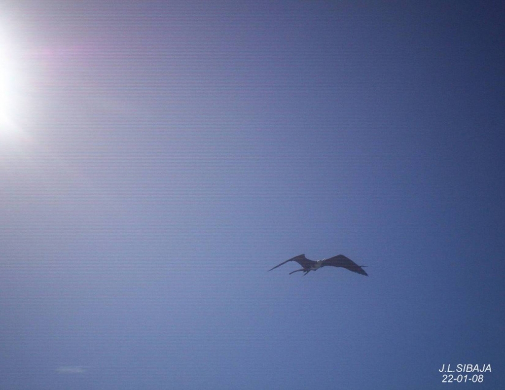 Foto de Paquera, Puntarenas, Costa Rica