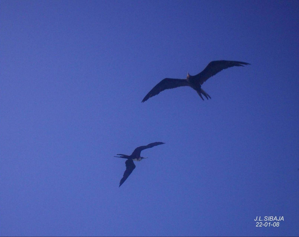 Foto de Paquera, Puntarenas, Costa Rica