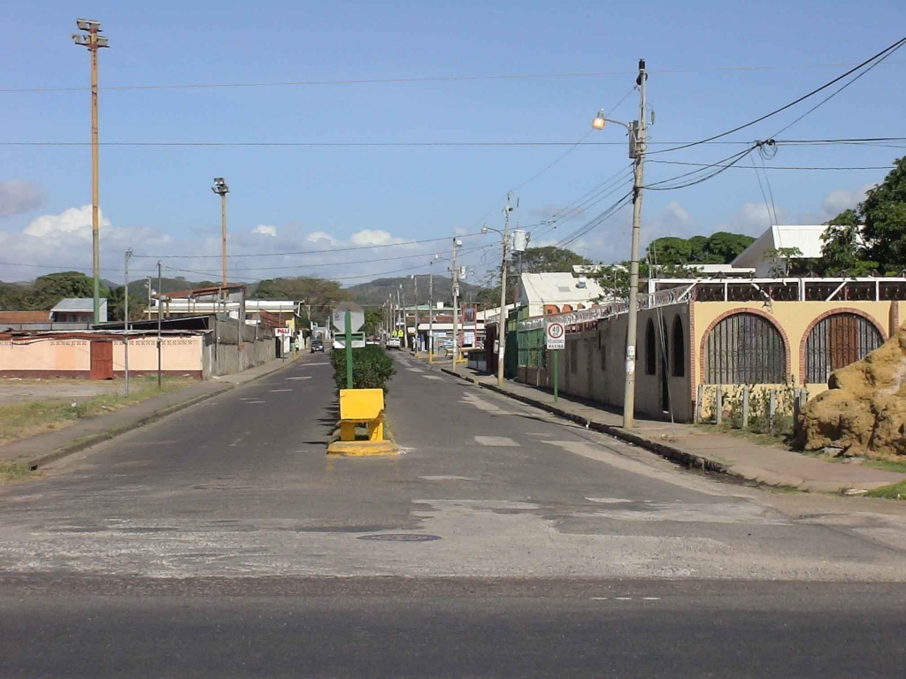 Foto de Guanacaste (Cañas), Costa Rica