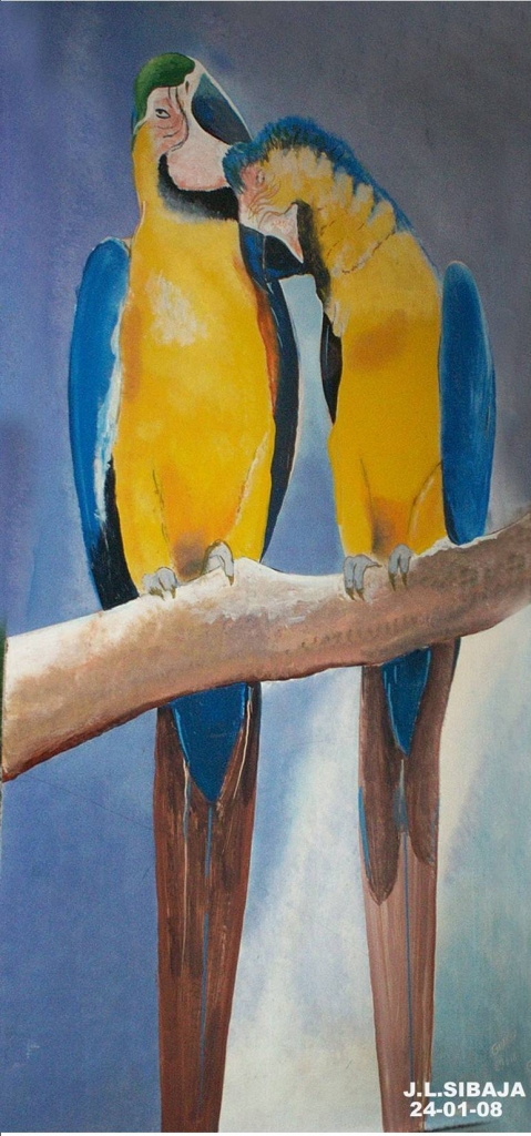 Foto de San José, Costa Rica