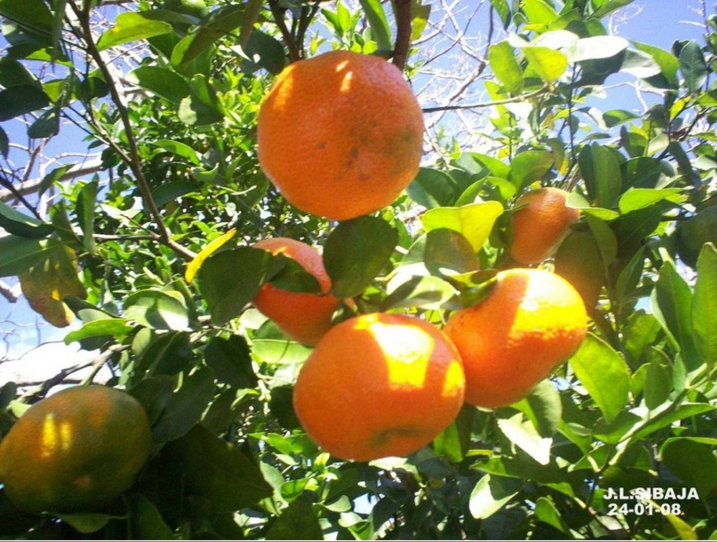 Foto de San Ignacio de Acosta, San José, Costa Rica