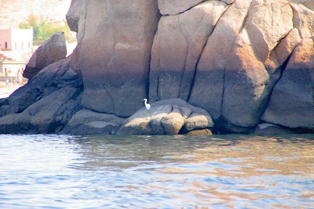 Foto de Aswan, Egipto